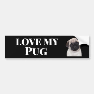 Pug bumper sticker