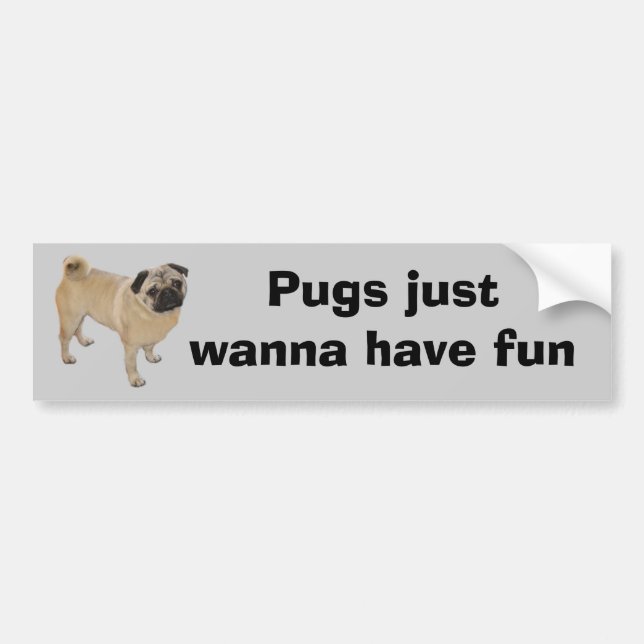 Pug Bumper Sticker (Front)