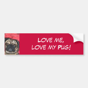 Pug Bumper Sticker