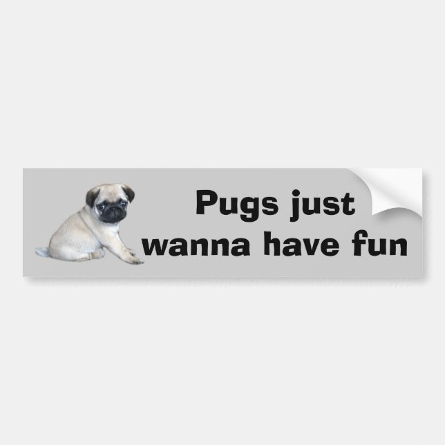 Pug Bumper Sticker (Front)