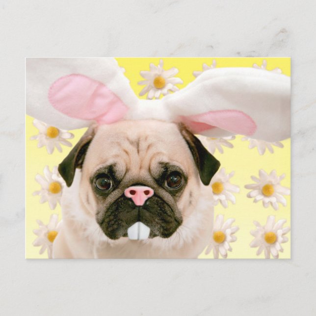 Pug Bunny Ears Postcard (Front)