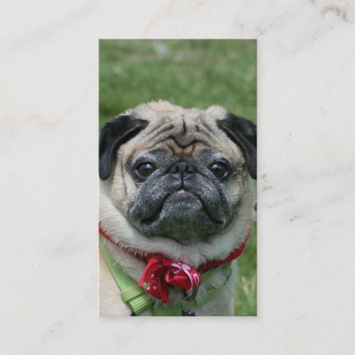 Customizable Pug business cards