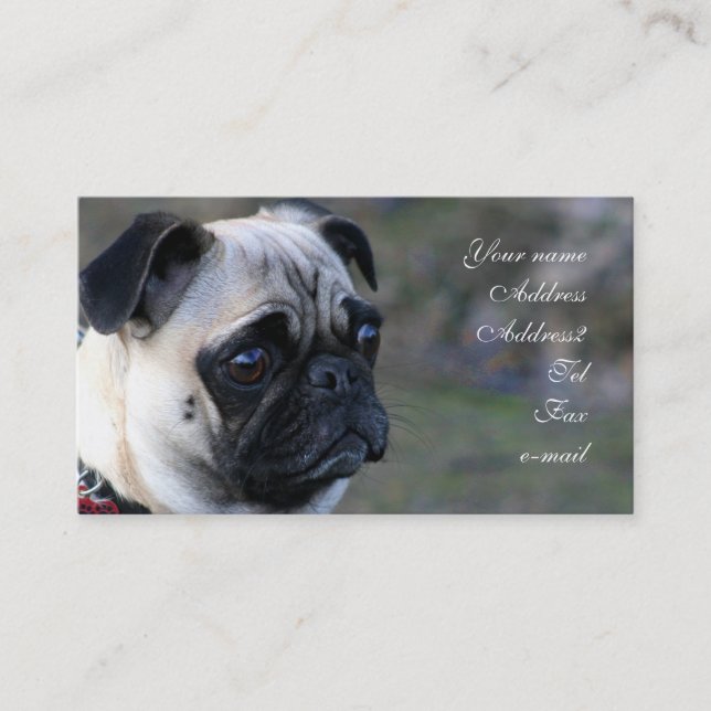Pug business cards (Front)