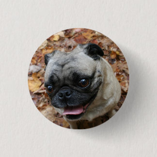 Pug Button