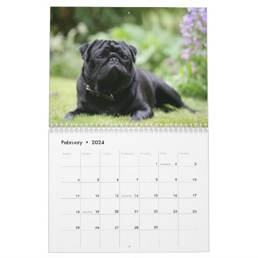 Pug Calendar | Zazzle