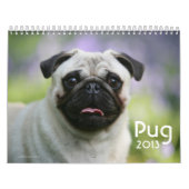Pug Calendar | Zazzle