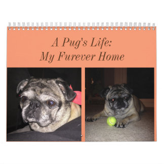 Pug Calendar