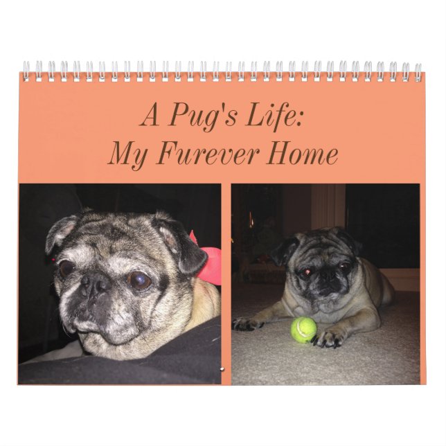Pug Calendar (Cover)