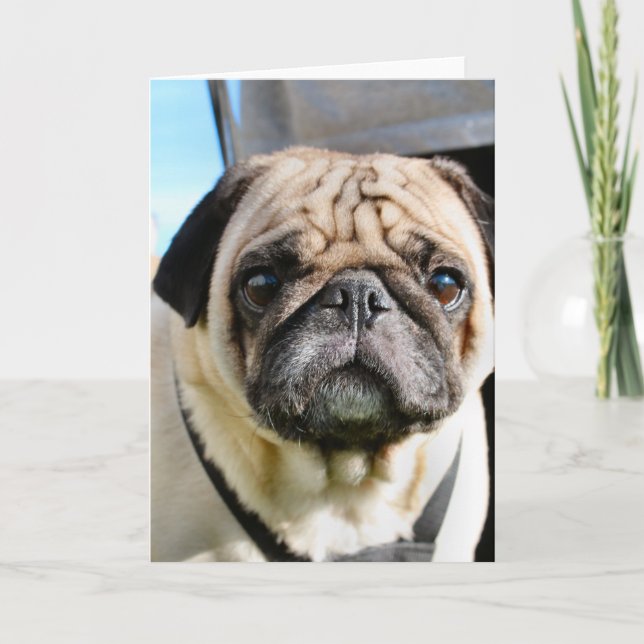 Pug Card (Front)