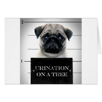 Pug Cards