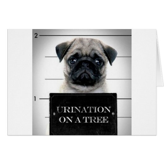 Pug Cards (Front Horizontal)