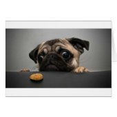 Pug Cards (Front Horizontal)