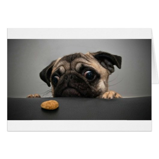 Pug Cards (Front Horizontal)
