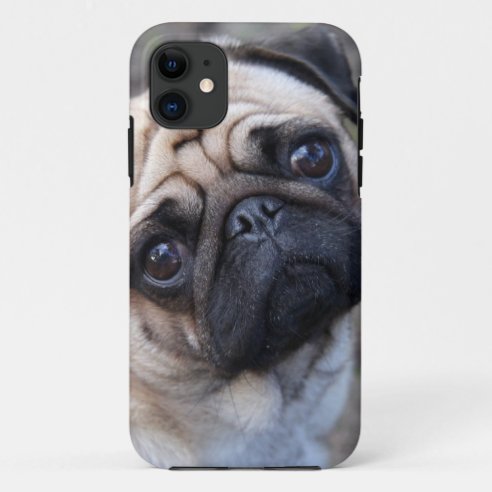 PUG Case-Mate iPhone/Galaxy Phone Cover
