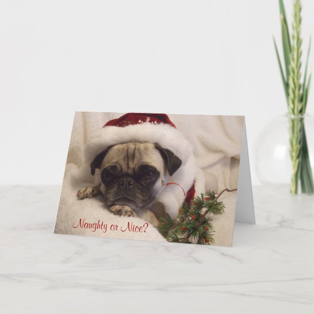 Pug Christmas Card (Front)