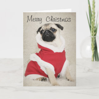 Pug Christmas Card