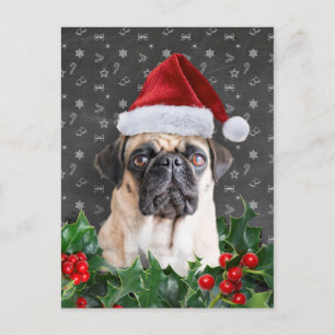 Pug Christmas Card