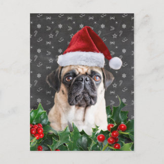 Pug Christmas Card