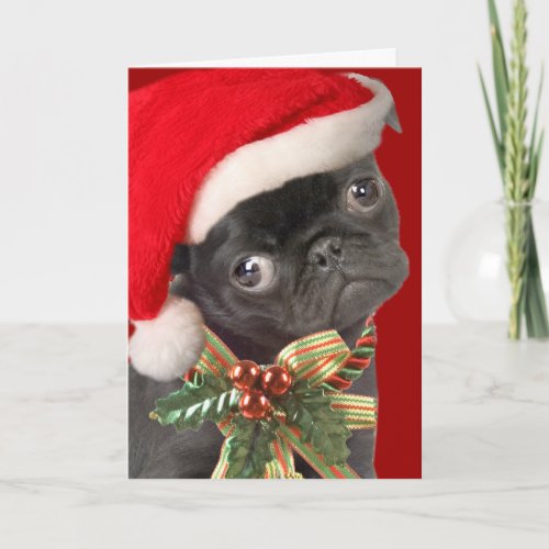 Pug Christmas Cards