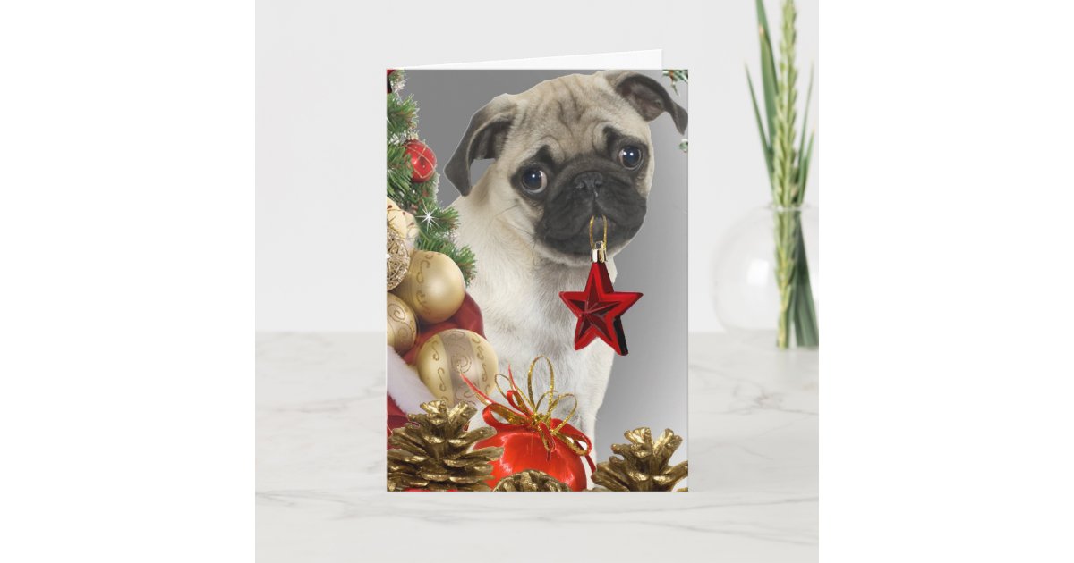 Pug Christmas Cards | Zazzle