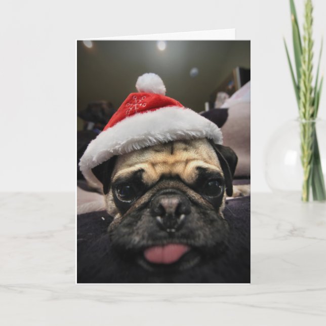 Pug Christmas Holiday Card (Front)