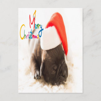 Pug Christmas Postcard