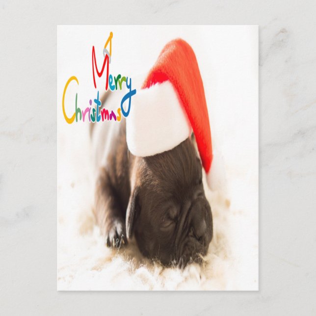 Pug Christmas Postcard (Front)