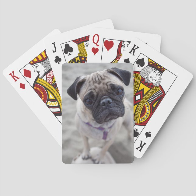 Pug Closeup Poker Cards (Back)