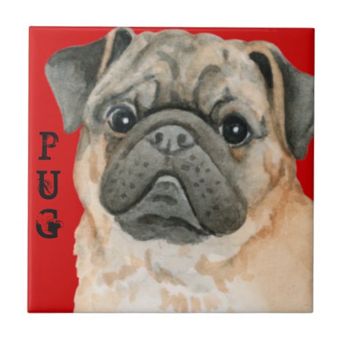 Pug Color Block Ceramic Tile