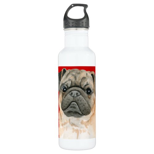 Pug Color Block Stainless Steel Water Bottle