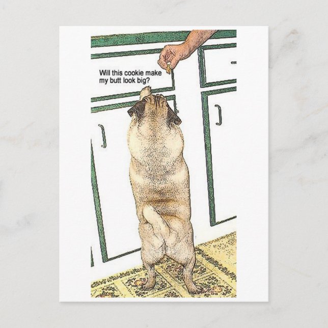 Pug Cookie Butt Postcard (Front)