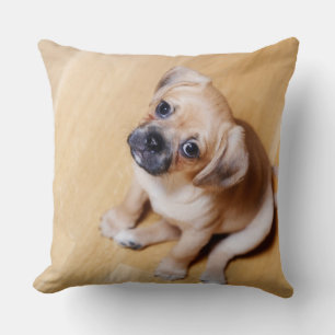 Pug Cross Cavalier King Charles Spaniel Throw Pillow