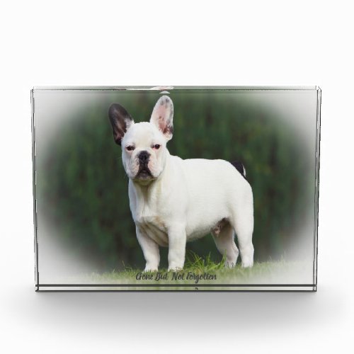 Pug Dog Acrylic Award