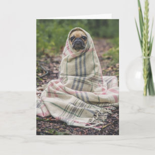 PUG DOG BIRTHDAY GREETING CARD