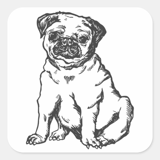 Pug dog , black & white illustration square sticker (Front)