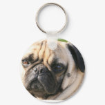 Pug Dog Breed  Keychain