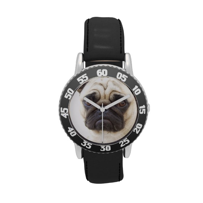 Pug Dog Breed Watch