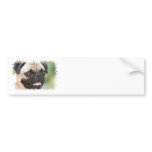 Pug Dog Bumper Sticker