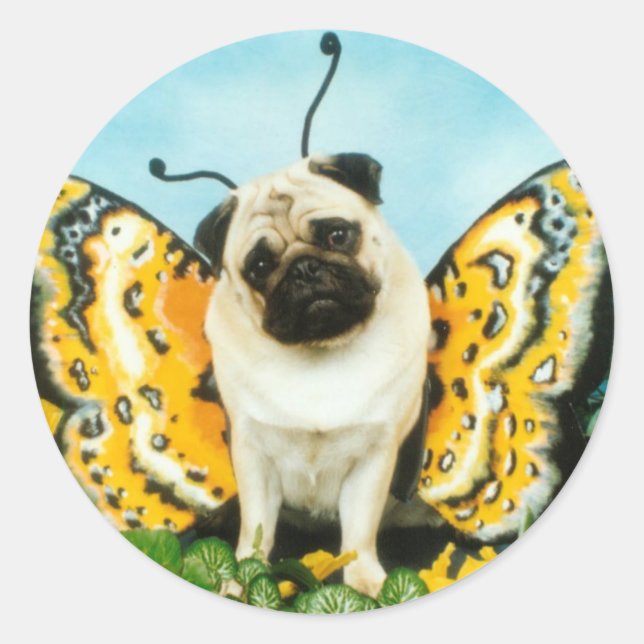 Pug Dog Butterfly Classic Round Sticker (Front)