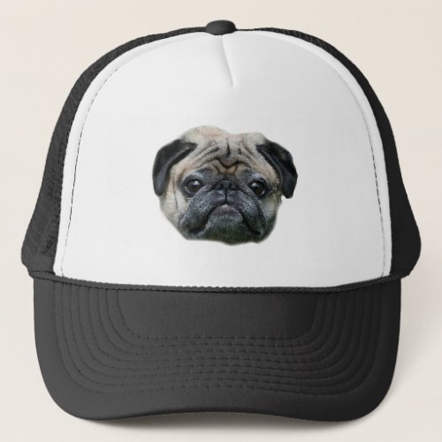 Pug Dog cap