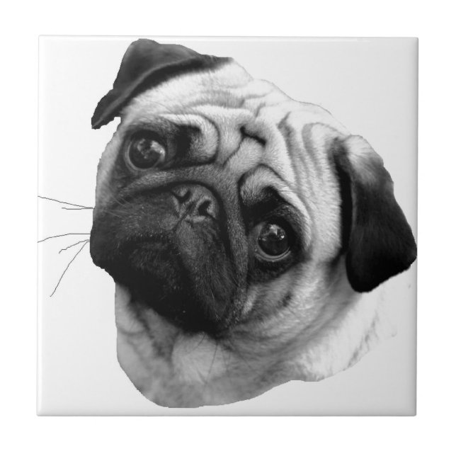 Pug Dog Ceramic Tile (Front)