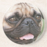 Pug Dog Coaster