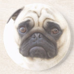 Pug Dog Coasters