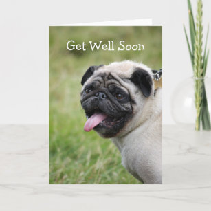 Dog With Surgical Glove Funny / Humorous Pug Get Well Card