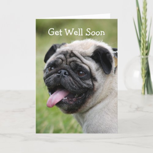 Pug dog get well soon greeting card cute photo