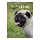 Pug Get Well Soon Card | Zazzle.com