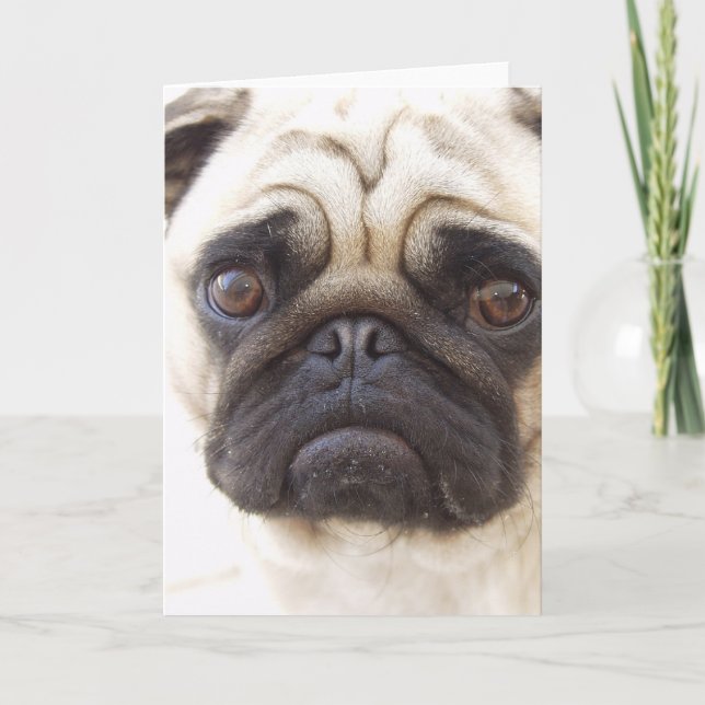 Pug Dog Greeting Card (Front)