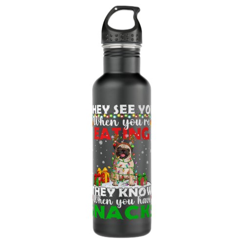 Pug Dog I Bake Stuff And Watch Christmas Movies Pu Stainless Steel Water Bottle