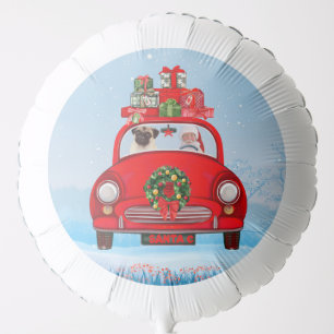 Pug Dog In Car With Santa Claus Balloon