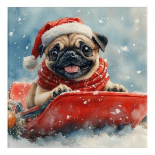 Pug Dog in Sledge Let it Snow Christmas Acrylic Print